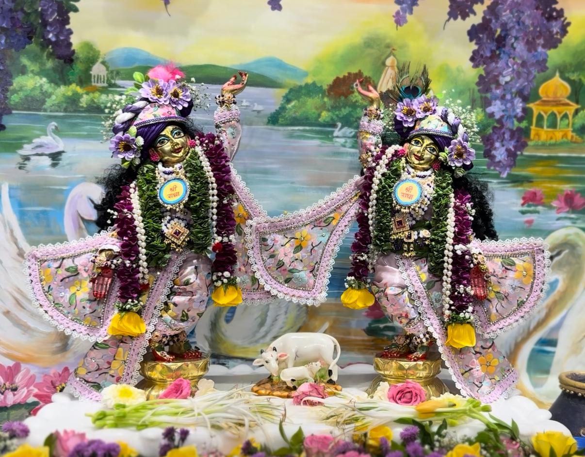 Deity darshan